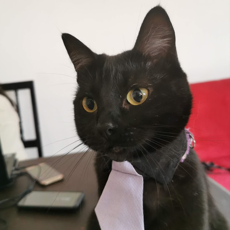 Foto de Minori